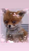 babynympho_archive Altpins Profile Picture
