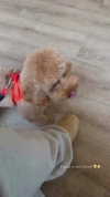 payton.r Altpins Profile Picture