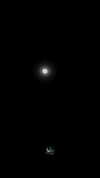 darkstar_mia Altpins Profile Picture
