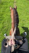 fallen.angel2007 Altpins Profile Picture