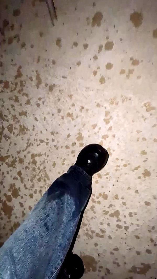 _littlerobin_ archive video preview
