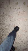 _littlerobin_ Altpins Profile Picture