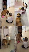 babyjoelle_ Altpins Profile Picture