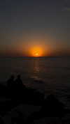 roni_ackerman Altpins Profile Picture