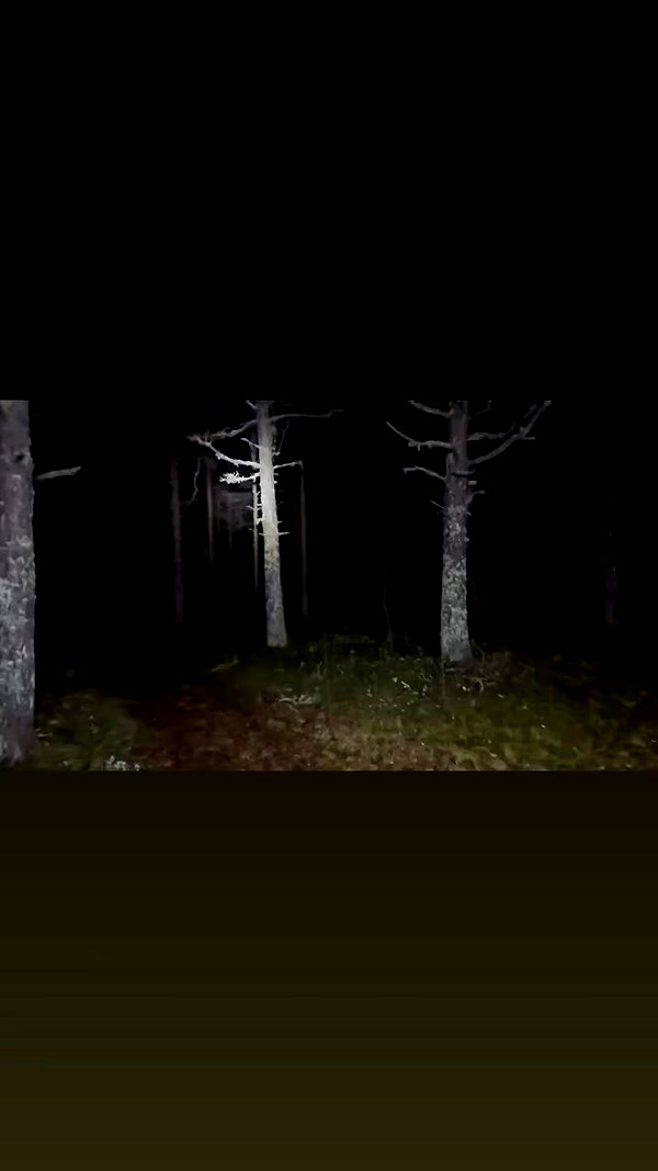 lerasww archive video preview