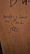 nicole_ac Altpins Profile Picture