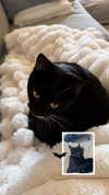 taliah.wilson Altpins Profile Picture