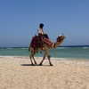 kiara.jlks Altpins Profile Picture