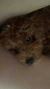 kteaworld Altpins Profile Picture