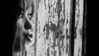 mariahcarey Altpins Profile Picture