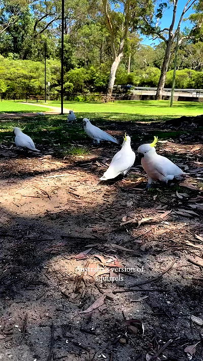 taylor.creeden taylor.creeden archive video