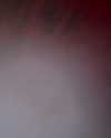 michalcohen___ Altpins Profile Picture