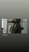 daaarkina Altpins Profile Picture