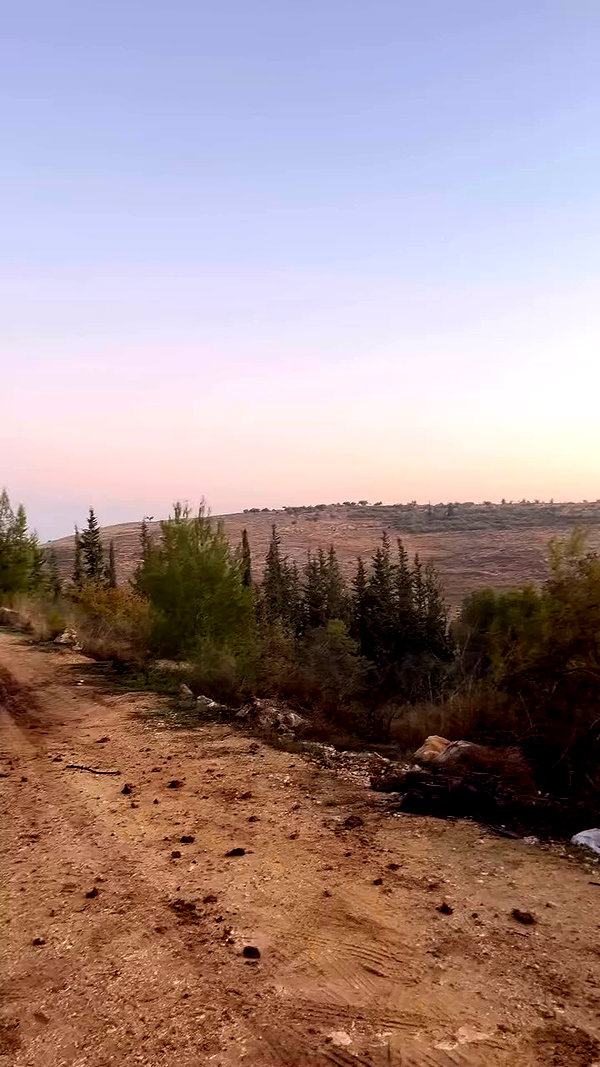 _.shelichka._ archive video preview