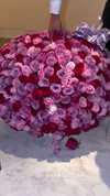 nomagdalina Altpins Profile Picture