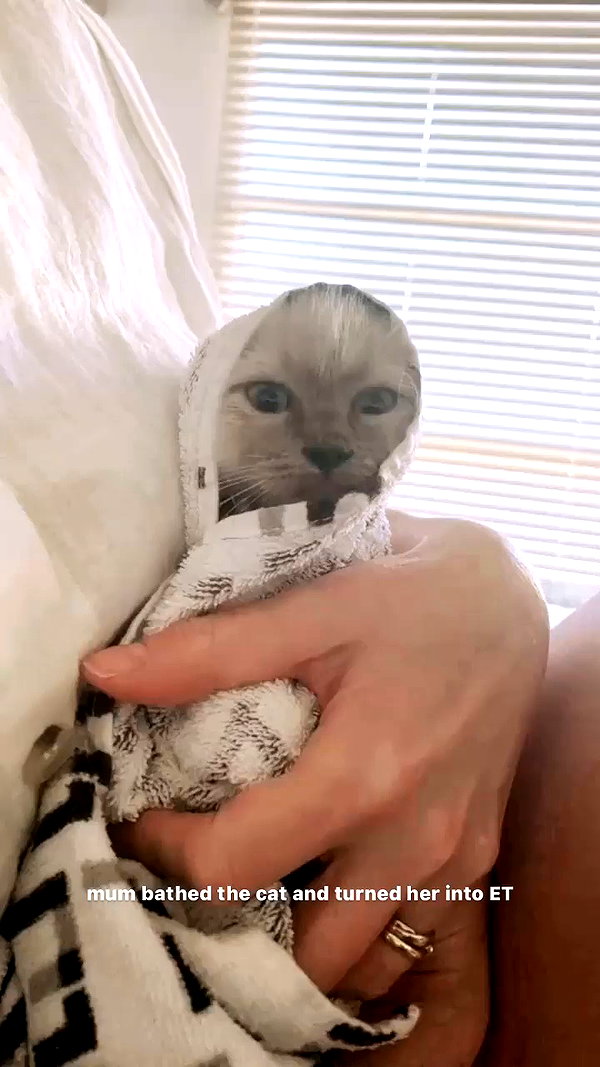oliviaphillipps archive video preview