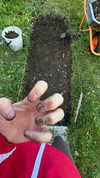 murl1kalka Altpins Profile Picture