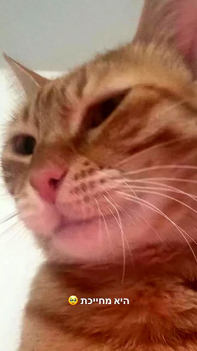 avitallllllllllllllll avitallllllllllllllll archive video