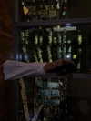 alishevs Altpins Profile Picture