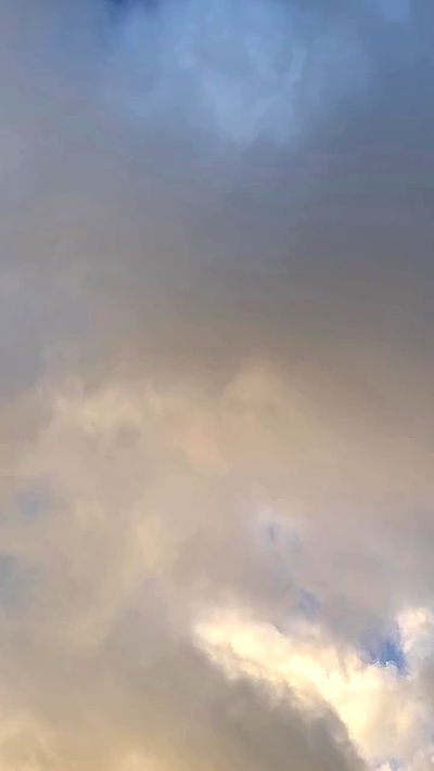 taylor.creeden taylor.creeden archive video