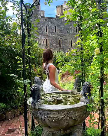 taylor.creeden taylor.creeden archive video