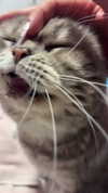 xsurio Altpins Profile Picture