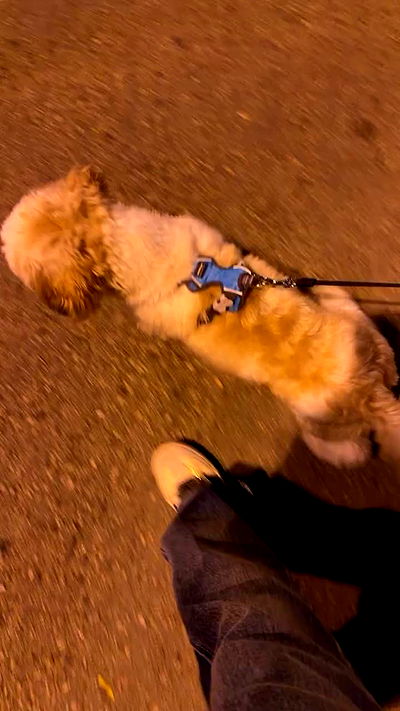 _._dianush._ _._dianush._ archive video