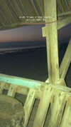 michal_cohen017 Altpins Profile Picture