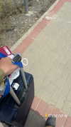 biton__adi Altpins Profile Picture