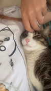 ronyida_ Altpins Profile Picture