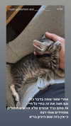 strawberryshanz Altpins Profile Picture