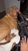 olivia.mathers Altpins Profile Picture