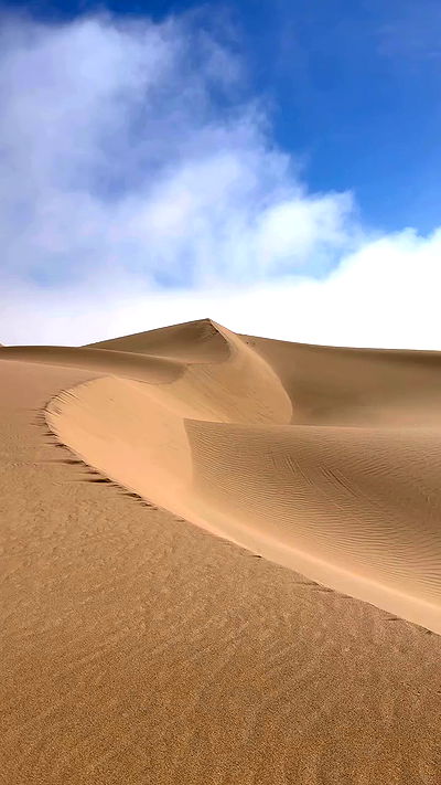 taylor.creeden taylor.creeden archive video