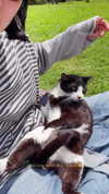 sonia_kalabin Altpins Profile Picture