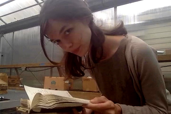 diaphanywell archive video preview