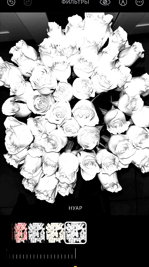 _allvi.pansk archive video preview