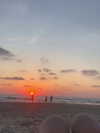 liiza_maarchuk Altpins Profile Picture
