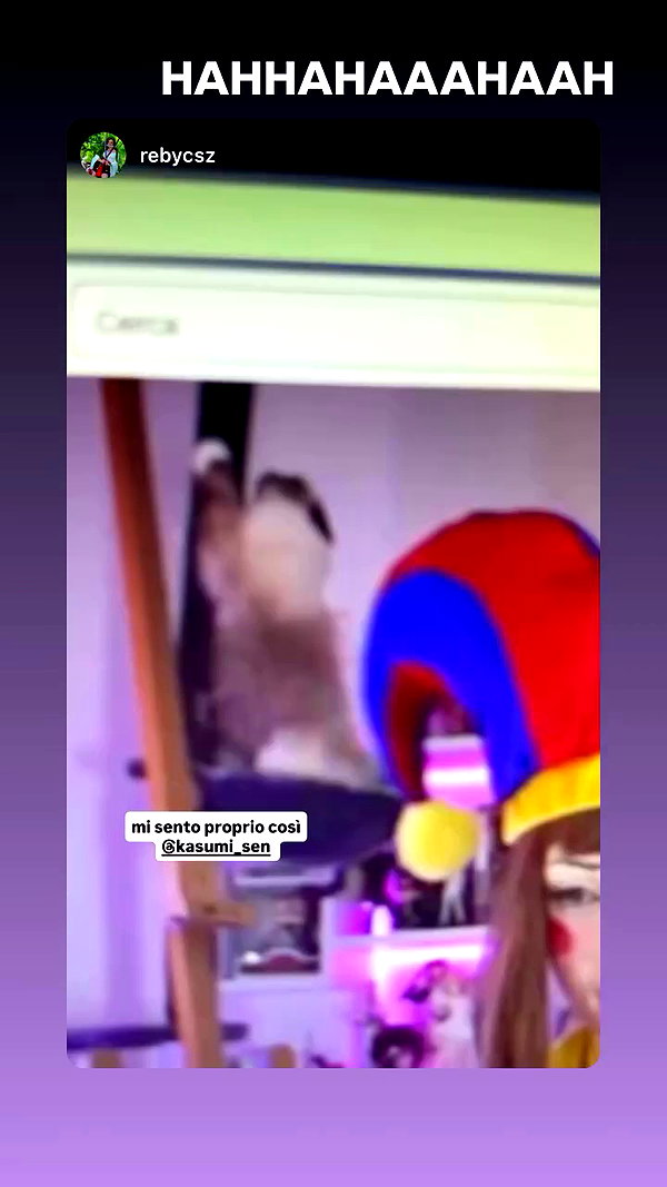 kasumi_sen archive video preview