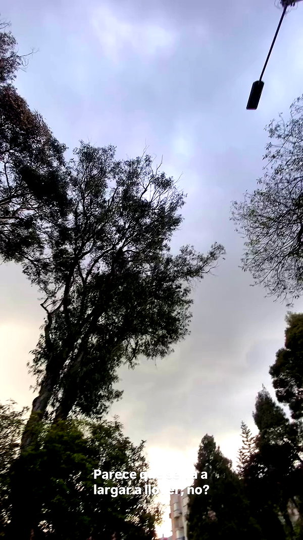 solzarubin_ archive video preview