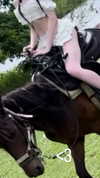 svgarbvnnies Altpins Profile Picture