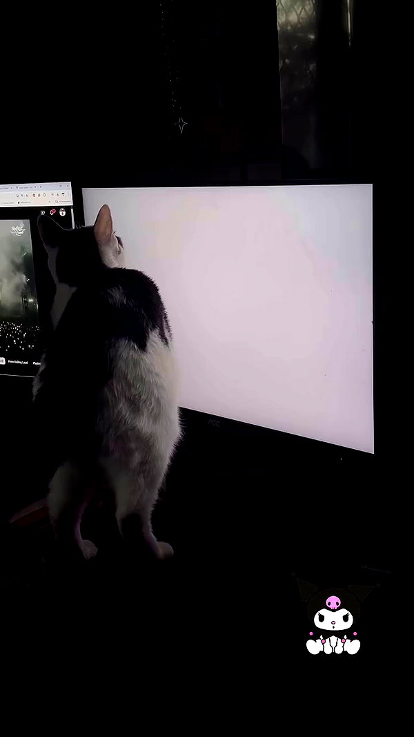 livindeadyaz archive video preview