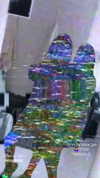 nikolpeleg Altpins Profile Picture