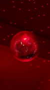 maruliners Altpins Profile Picture