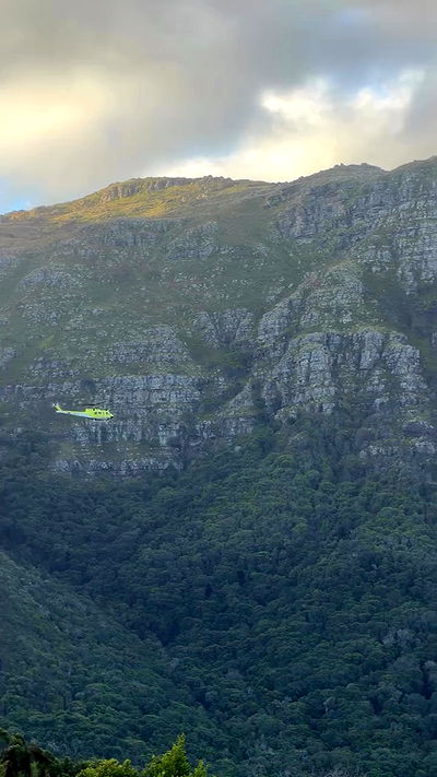 taylor.creeden taylor.creeden archive video