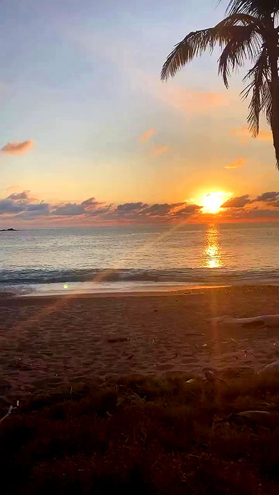 taylor.creeden taylor.creeden archive video