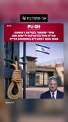 or_hasid Altpins Profile Picture