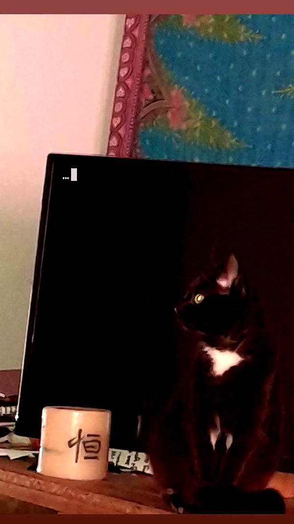 ayliehayward archive video preview