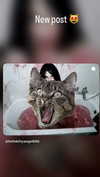 hellokittyangel666 Altpins Profile Picture
