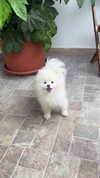 elsgatti Altpins Profile Picture
