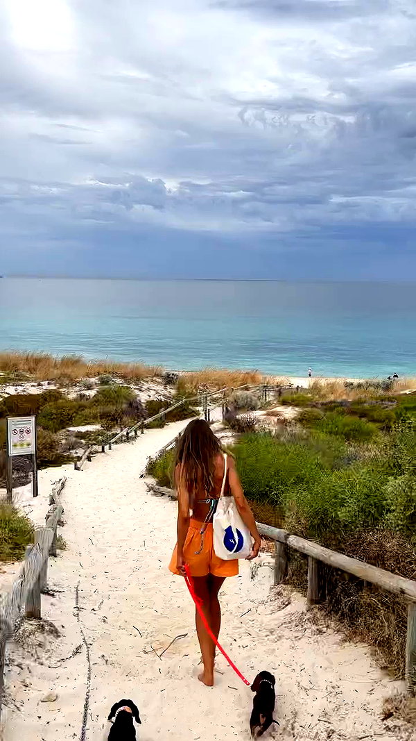 sullivang_ archive video preview